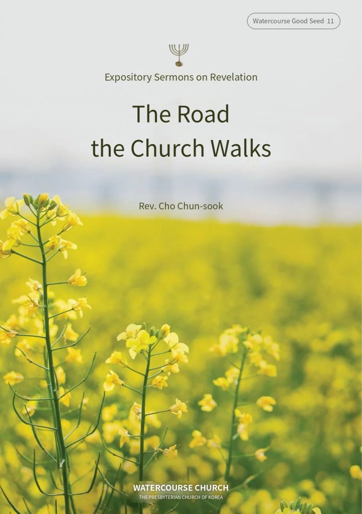 Cover of The Road the Church Walks