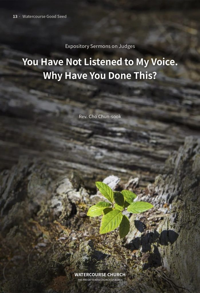 Cover of You Have Not Listened to My Voice. Why Have You Done This?