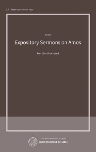 Cover of Expository Sermons on Amos