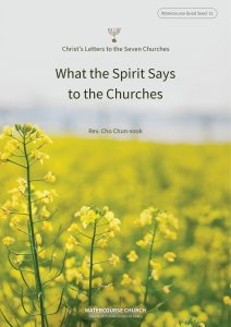 Cover of What the Spirit Says to the Churches