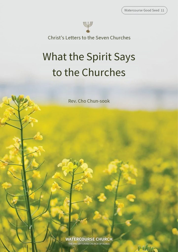 Cover of What the Spirit Says to the Churches