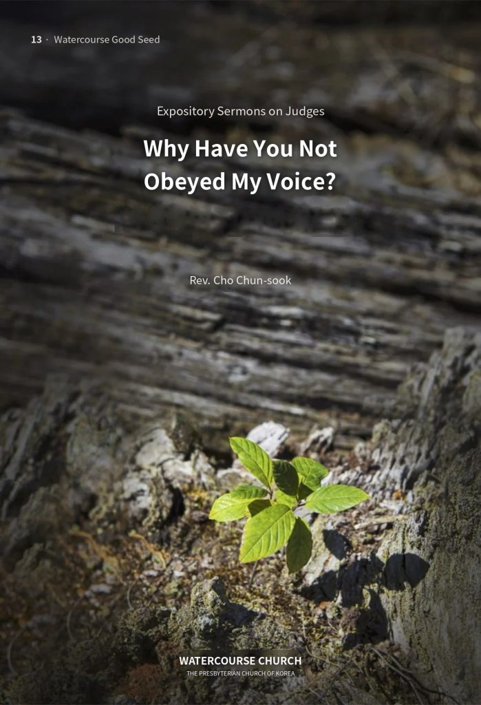 Cover of Why Have You Not Obeyed My Voice?